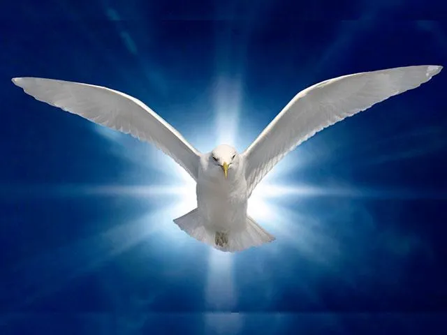holy Spirit performs